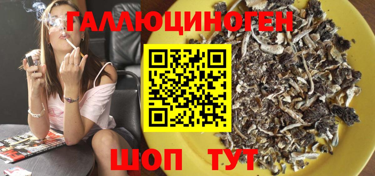 Казань  Псилоцибиновые грибы ЛСД  Вход с VPN 