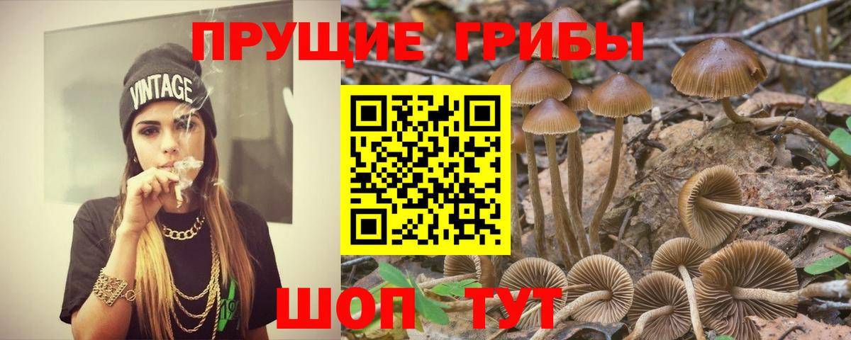 Псилоцибиновые грибы ЛСД Казань